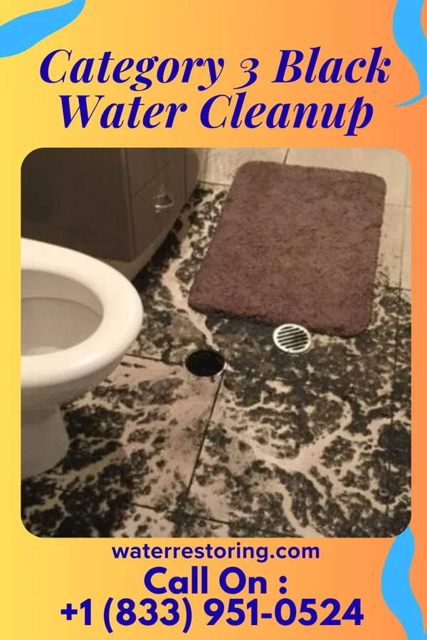 Category 3 Black Water Cleanup in Storden, MN