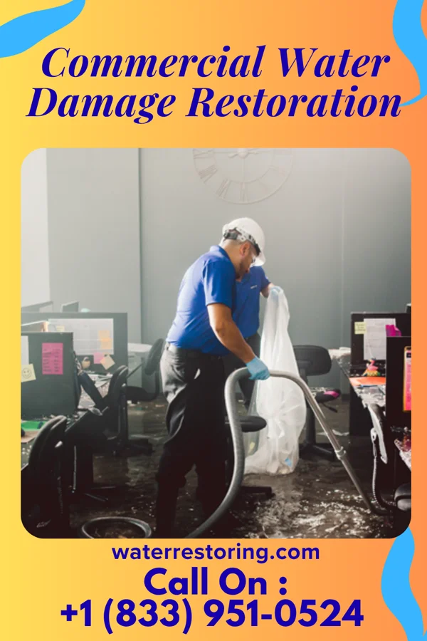 Commercial Water Damage Restoration in Storden, MN