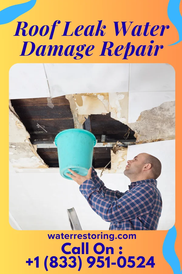 Roof Leak Water Damage Repair in Storden, MN
