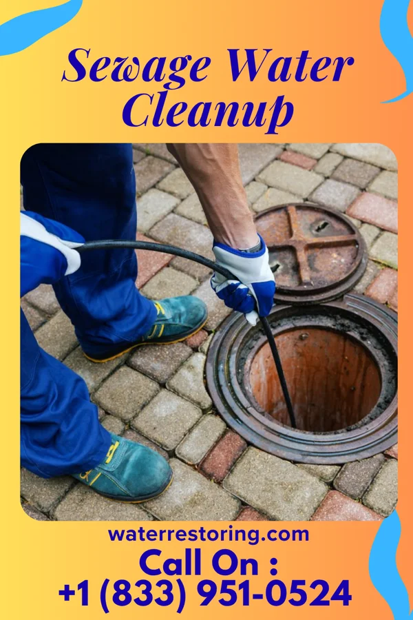 Sewage Water Cleanup in Storden, MN